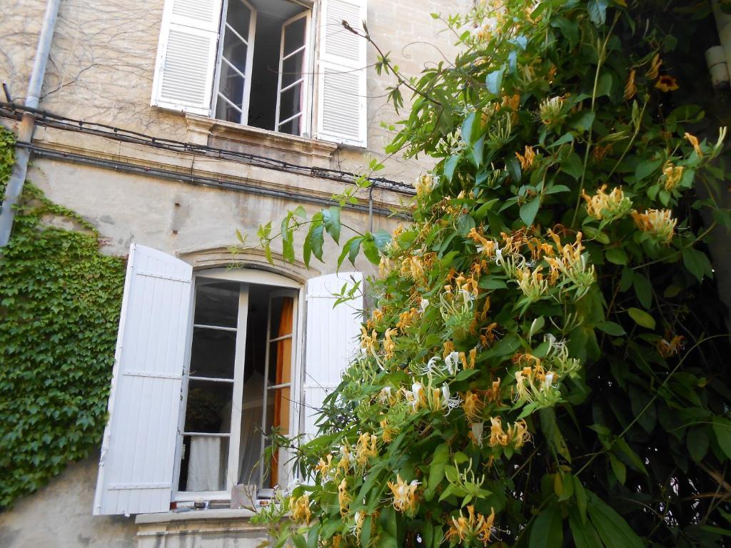 Hotel Cocooning Avignon Exterior foto